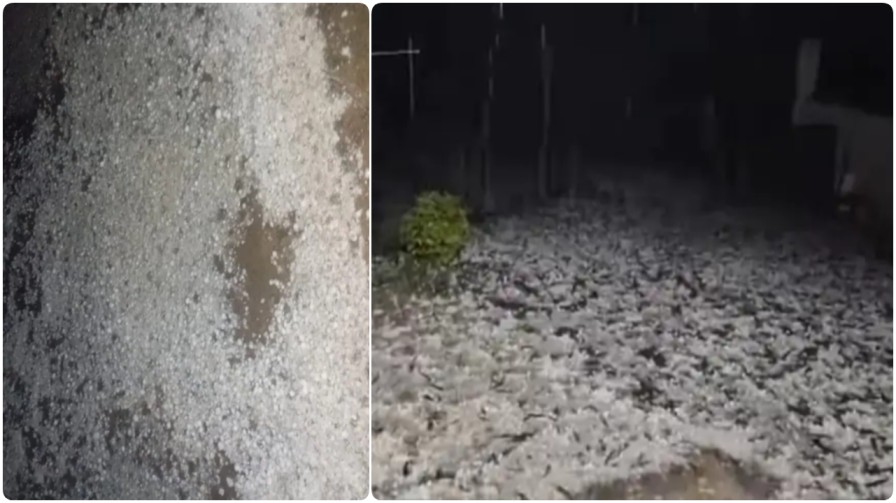 कुदरत का कहर : मैनपाट में ओलों की ‘सफेद चादर’, सरगुजा संभाग में फसलों पर संकट के बादल…