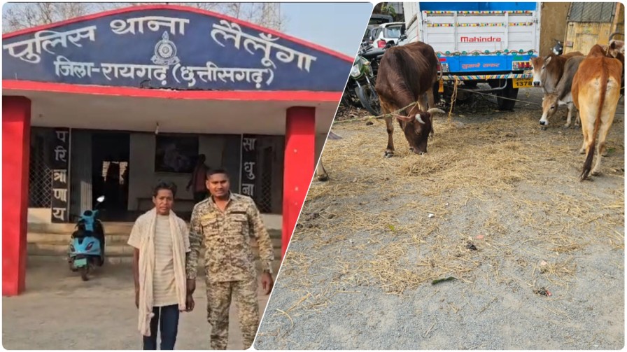 ऑपरेशन शंखनाद: लैलूंगा पुलिस का तस्करों पर ‘वज्रपात’, मवेशियों से भरी क्रूरता की खेप पकड़ी; SSP की दो टूक- “सुधर जाओ या जेल जाओ”…