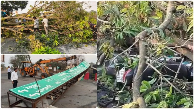 सूरजपुर में कुदरत का कहर : मौत बनकर बरसी आंधी, SECL का स्वागत द्वार धराशायी, पेड़ के नीचे दबा युवक घायल…