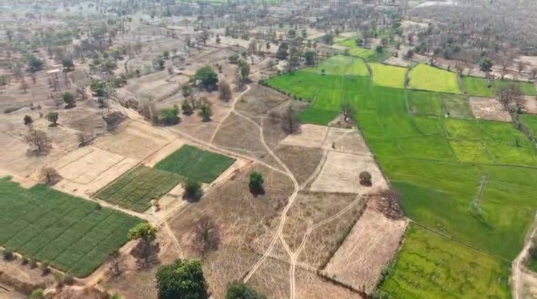 रायगढ़ में ‘ड्रोन’ का काल : तमनार,घटगांव के बाद मुडागांव में अफीम की खेती पर प्रशासन का वज्रपात, बैक-टू-बैक 3 बड़ी कार्रवाइयां!…