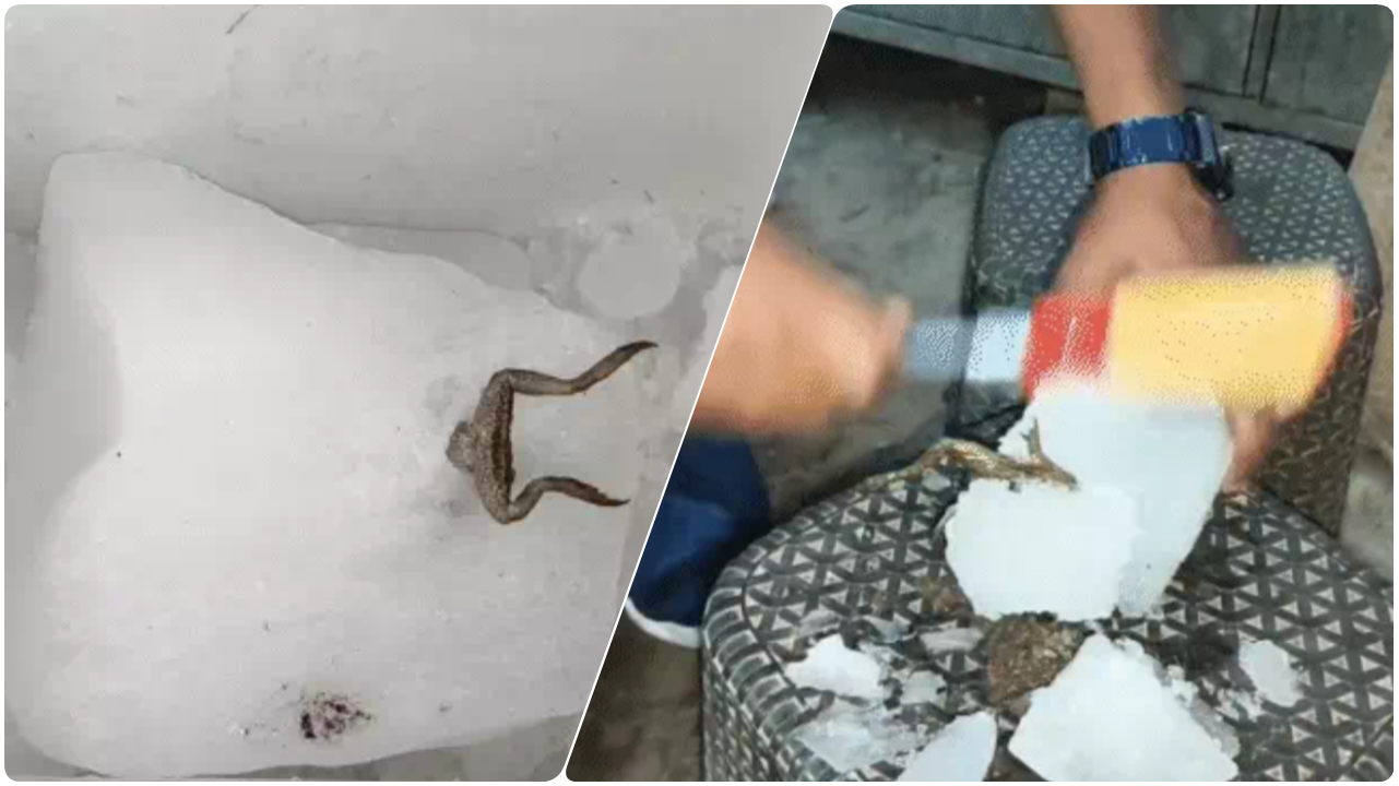 जहरीली हुई कोरबा की बर्फ ! निहारिका से घंटाघर तक हड़कंप; जिम्मेदार कौन- फैक्ट्री मालिक या लापरवाह विभाग?…