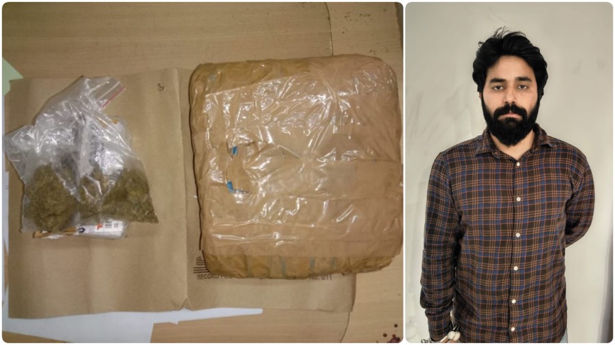 रायपुर में हाई-प्रोफाइल ड्रग सिंडिकेट का भंडाफोड़ : दिल्ली से ‘कुरियर’ के जरिए आ रहा था ‘ओसियन ग्रो गांजा’, आईफोन वाला तस्कर गिरफ्तार…