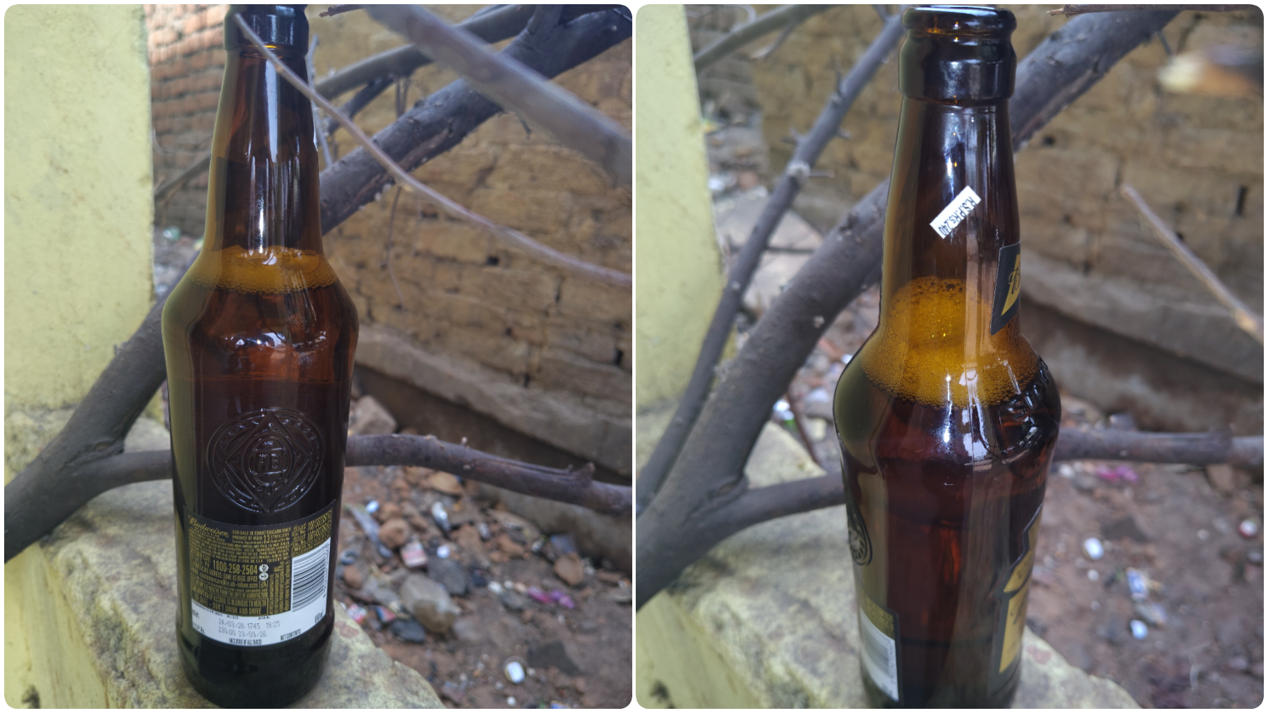 घरघोड़ा ब्रेकिंग : शराब प्रेमियों की जेब पर ‘स्टिकर’ का डाका? रायगढ़ जिले में फिर शुरू हुआ ‘ऊपर’ का खेल!…