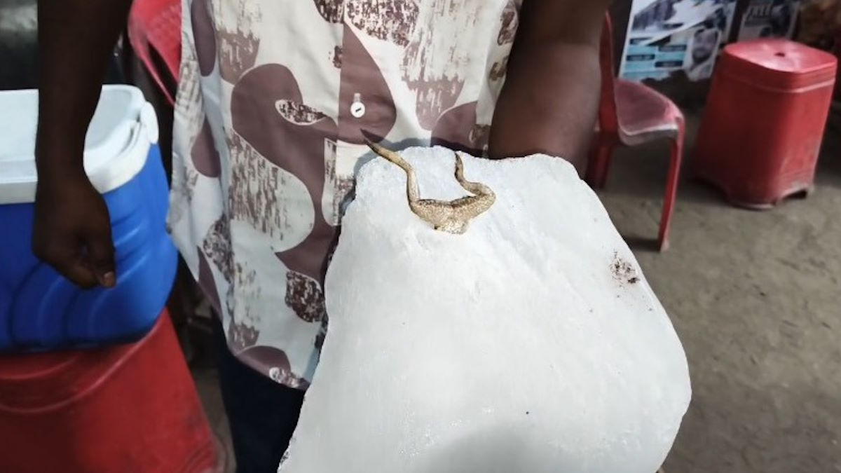 जहरीली हुई कोरबा की बर्फ ! निहारिका से घंटाघर तक हड़कंप; जिम्मेदार कौन- फैक्ट्री मालिक या लापरवाह विभाग?…