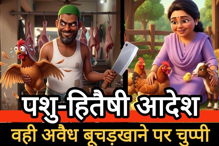पशु, पक्षियों के साथ करूणा के बीच बूचड़खाने की अवैधता पर मौन बालोद कलेक्टर