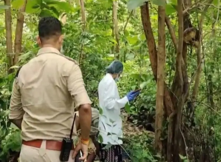 महामाया पहाड़ के जंगलों में सनसनी: साड़ी के फंदे पर झूलता मिला महिला का सड़ा-गला कंकाल, धड़ कटकर जमीन पर गिरा…