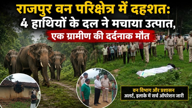 राजपुर वन परिक्षेत्र में दहशत : 4 हाथियों के दल ने मचाया उत्पात, एक ग्रामीण की दर्दनाक मौत…