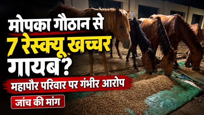 रसूख की भट्ठी में झोंके गए बेजुबान? मोपका गौठान से 7 रेस्क्यू खच्चरों के ‘गायब’ होने पर बवाल, महापौर परिवार पर गंभीर आरोप?…